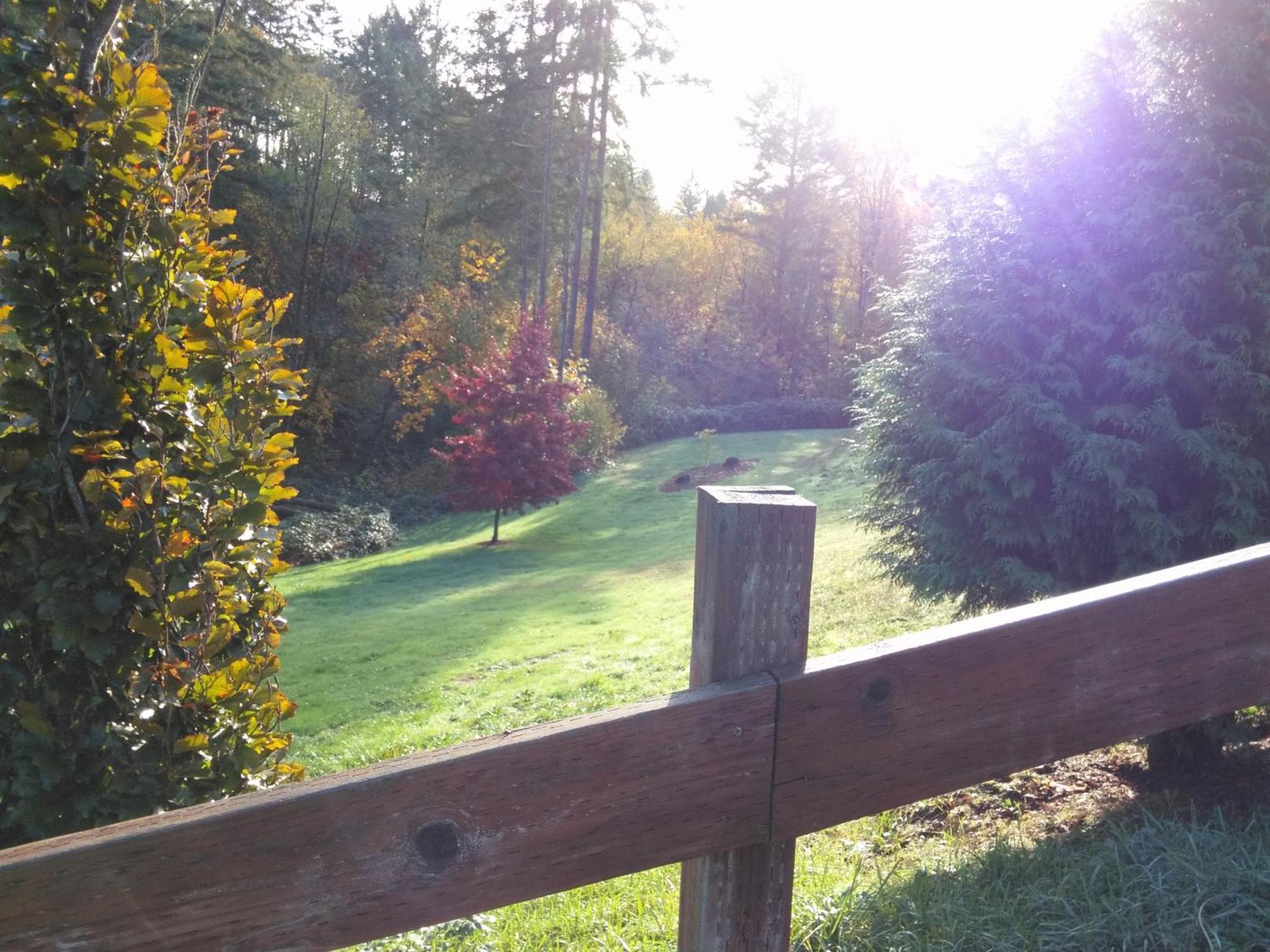 Vancouver Wa Beautiful Apartment Удланд Екстериор снимка